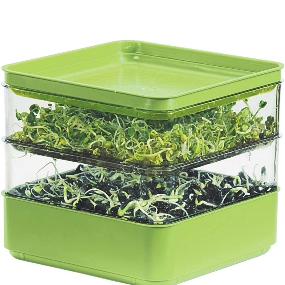 Seed Sprouter With Organic Alfalfa Seeds Aprouts Seeds Indoors New in Box